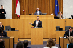 FPÖ-Verkehrssprecher Christian Hafenecker im Nationalrat.