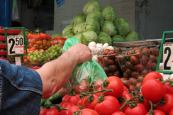 Auch im Juli war die Inflation in Österreich mit sieben Prozent höher als in vielen Euroländern - und die Regierung tut weiterhin nichts dagegen. 