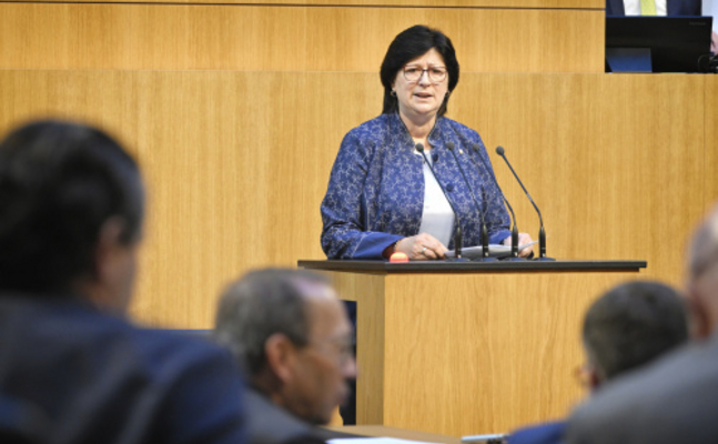 FPÖ-Familiensprecherin Rosa Ecker im Parlament.