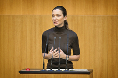 FPÖ-Verfassungssprecherin Susanne Fürst im Nationalrat.