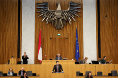 FPÖ-Bautensprecher Philipp Schrangl im Parlament.