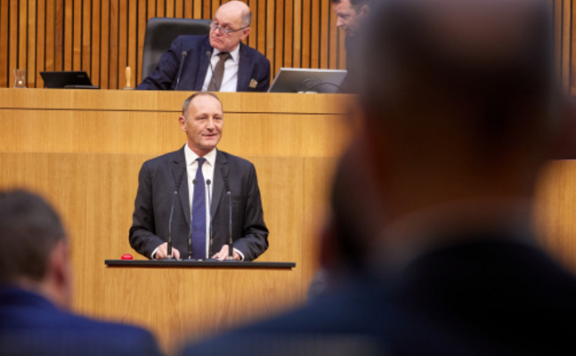 FPÖ-Wirtschaftssprecher Axel Kassegger im Parlament.