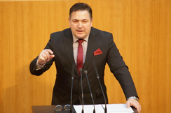 FPÖ-Mandatar Christian Ries im Nationalrat.