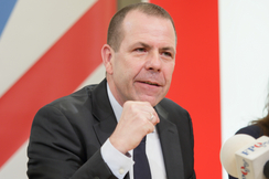 FPÖ-EU-Delegationsleiter Harald Vilimsky.