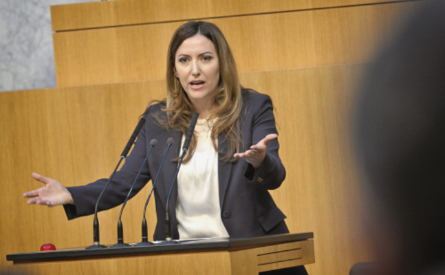 FPÖ-Europasprecherin Petra Steger im Parlament.