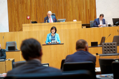 FPÖ-Frauensprecherin Rosa Ecker im Parlament.