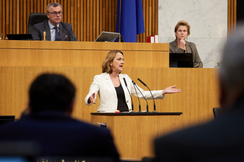 FPÖ-Sozialsprecherin Dagmar Belakowitsch im Parlament.