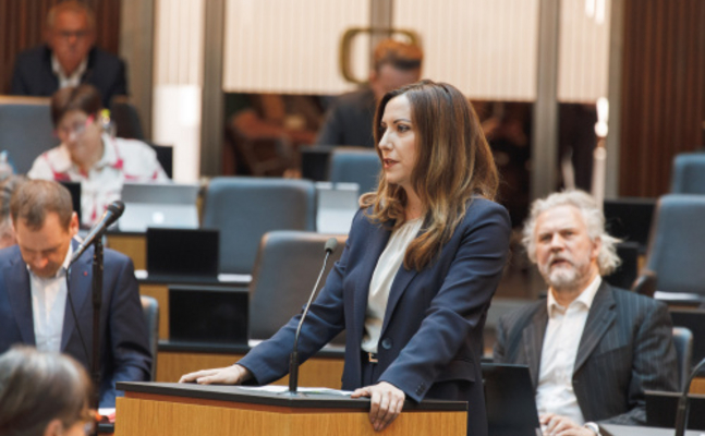 FPÖ-EU-Kandidatin und Europasprecherin Petra Steger im Parlament.