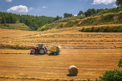 Billig-Importe aus der Ukraine gefährden die heimische Landwirtschaft.