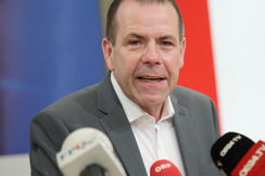 FPÖ-EU-Delegationsleiter Harald Vilimsky.