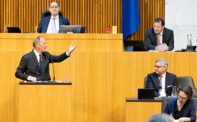 FPÖ-Wirtschaftssprecher Axel Kassegger im Parlament.