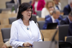 FPÖ-Familiensprecherin Rosa Ecker im Hohen Haus.