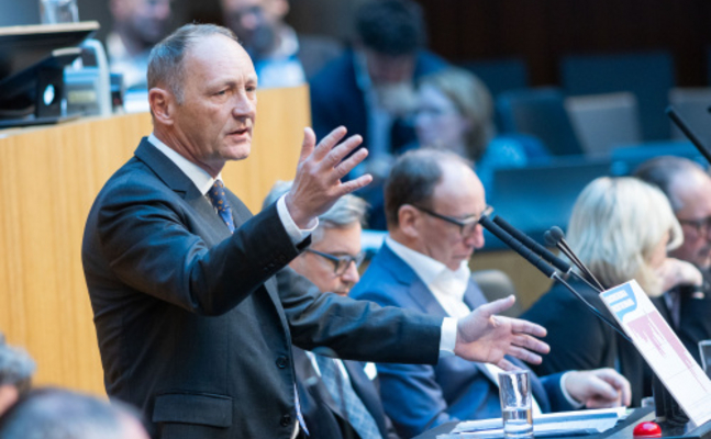 FPÖ-Wirtschaftssprecher Axel Kassegger im Hohen Haus.