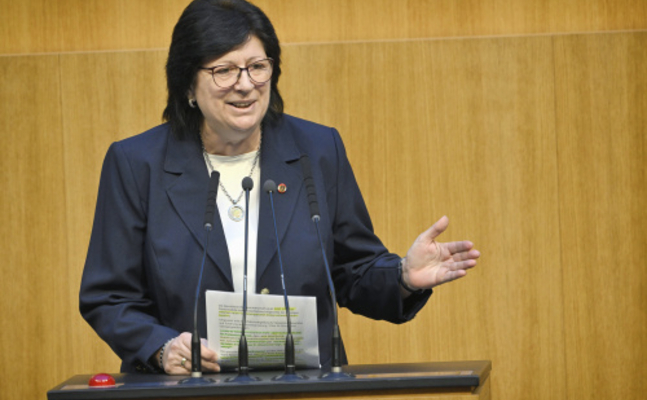 FPÖ-Familiensprecherin Rosa Ecker im Hohen Haus.