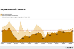 Am Anteil von russischem Gas in der heimischen Energieversorgzung hat sich seit Kriegsbeginn nichts geändert - zuletzt lag er bei 86  Prozent.