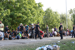 Seit 2015 ziehen illegale Einwanderer-Massen quer durch diverse sichere Länder ins Sozialparadies Österreich - und unsere Bundesregierung lässt sie mit offenen Armen herein.