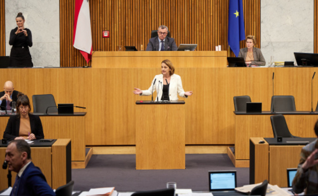 FPÖ-Sozialsprecherin Dagmar Belakowitsch im Parlament.