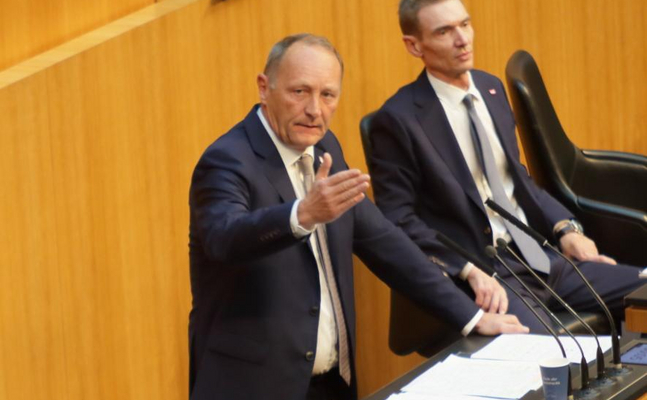 FPÖ-Wirtschaftssprecher Axel Kassegger im Parlament.