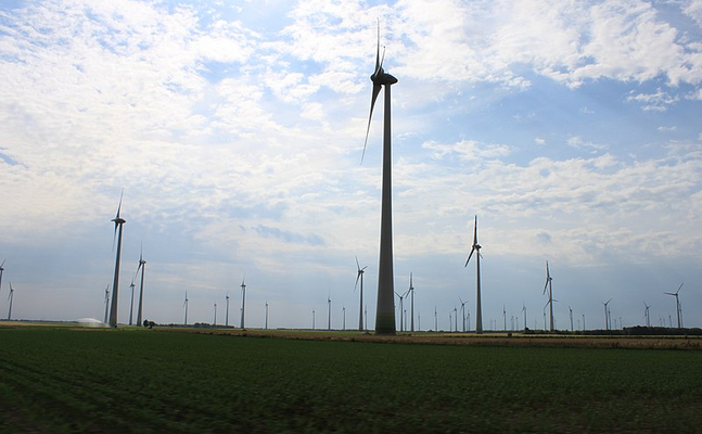 Der Windparl im burgenländischen Andau/Halbturn (Bezirk Neusiedl a. See).