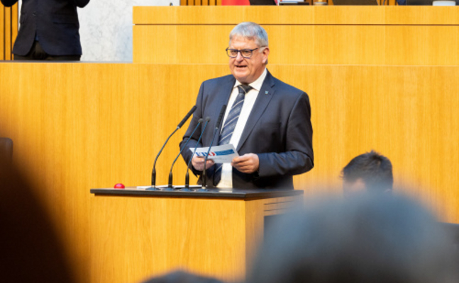 FPÖ-Nationalratsabgeordneter Maximilian Linder im Parlament.