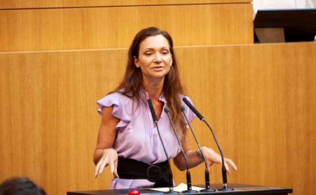 FPÖ-Verfassungssprecherin Susanne Fürst im Parlament.