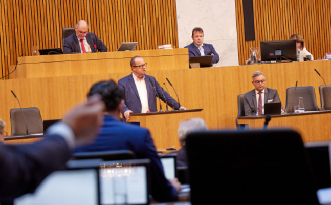 FPÖ-Finanzsprecher Hubert Fuchs im Parlament.