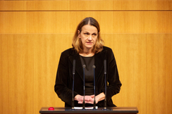 FPÖ-Sozialsprecherin Dagmar Belakowitsch im Parlament.