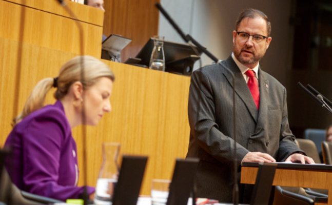 FPÖ-Generalsekretär Christian Hafenecker im Hohen Haus.