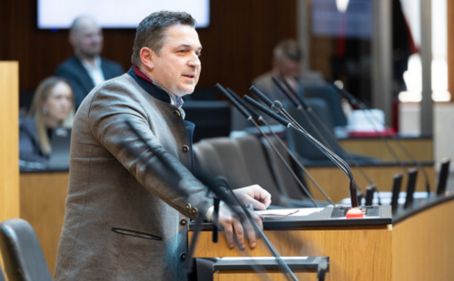 FPÖ-Nationalratsabgeordneter Christian Ries im Parlament.