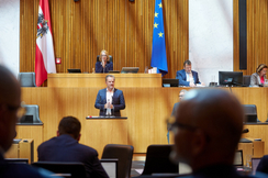 FPÖ-Umweltsprecher Walter Rauch im Parlament.