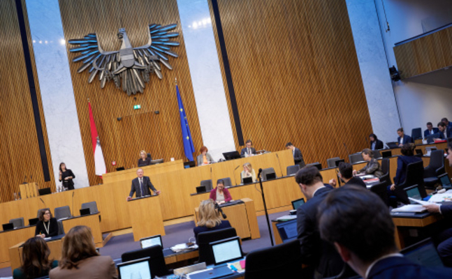 FPÖ-Wirtschaftssprecher Axel Kassegger im Parlament.