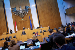 FPÖ-Wirtschaftssprecher Axel Kassegger im Parlament.