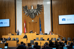 FPÖ-Sicherheitssprecher Hannes Amesbauer im Parlament.