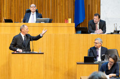 FPÖ-Wirtschaftssprecher Axel Kassegger im Nationalrat.